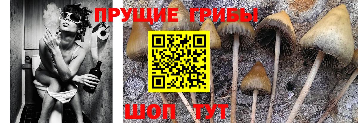 Галлюциногенные грибы мицелий Новокуйбышевск