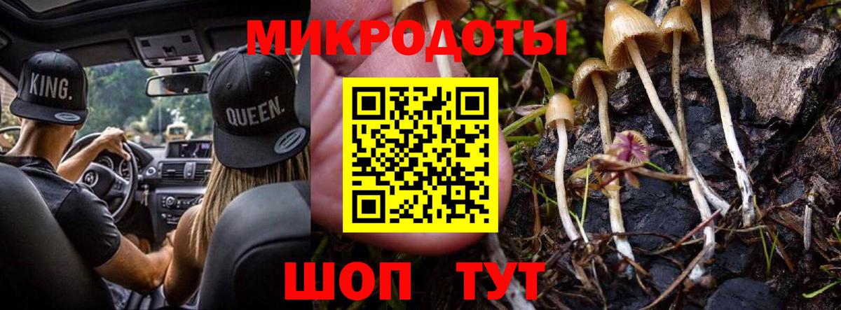 купить   Галлюциногенные грибы Psilocybine cubensis  Вход с VPN  Новокуйбышевск 